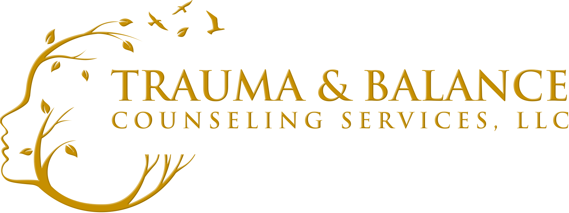 trauma & balance counseling services, llc logo